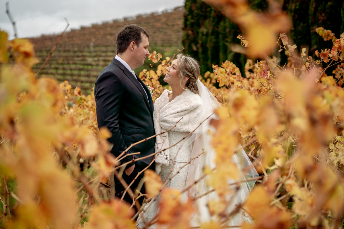 small wedding barossa valley winery ceremony