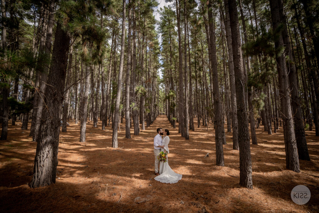 A bride standing alone among tall pine trees