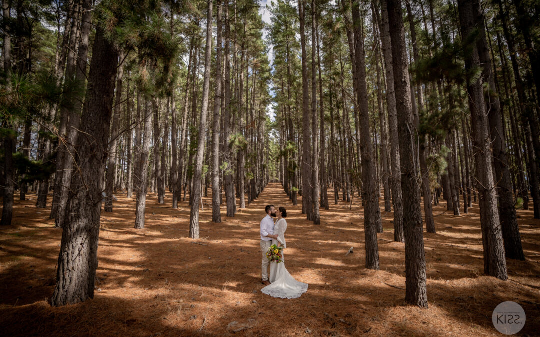 Mount Crawford Forest Weddings