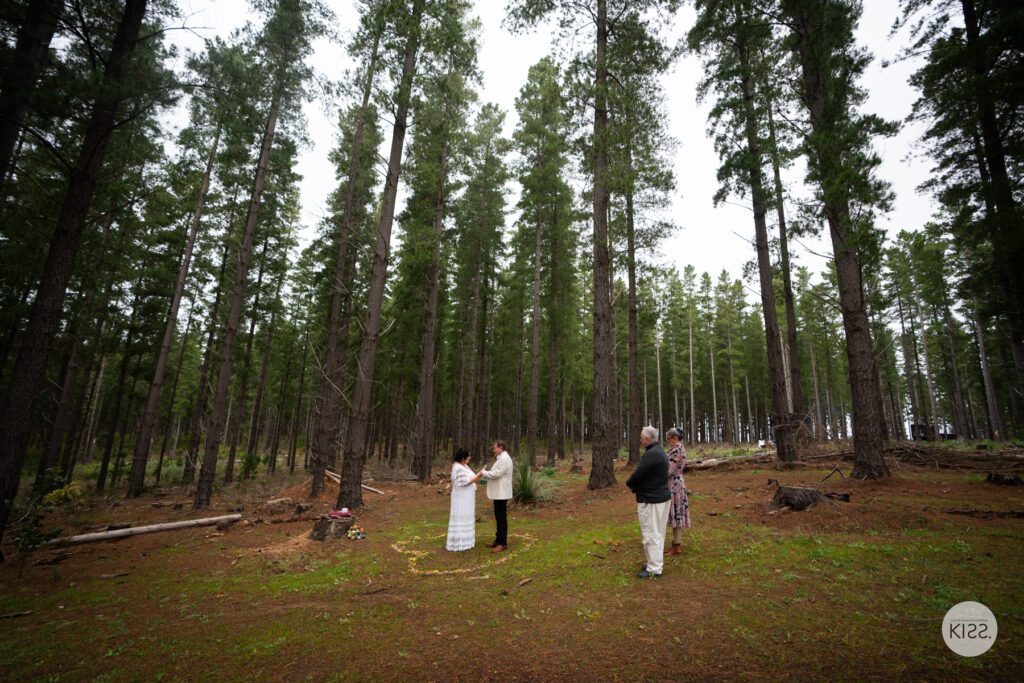 A small wedding party gathered among tall pine trees