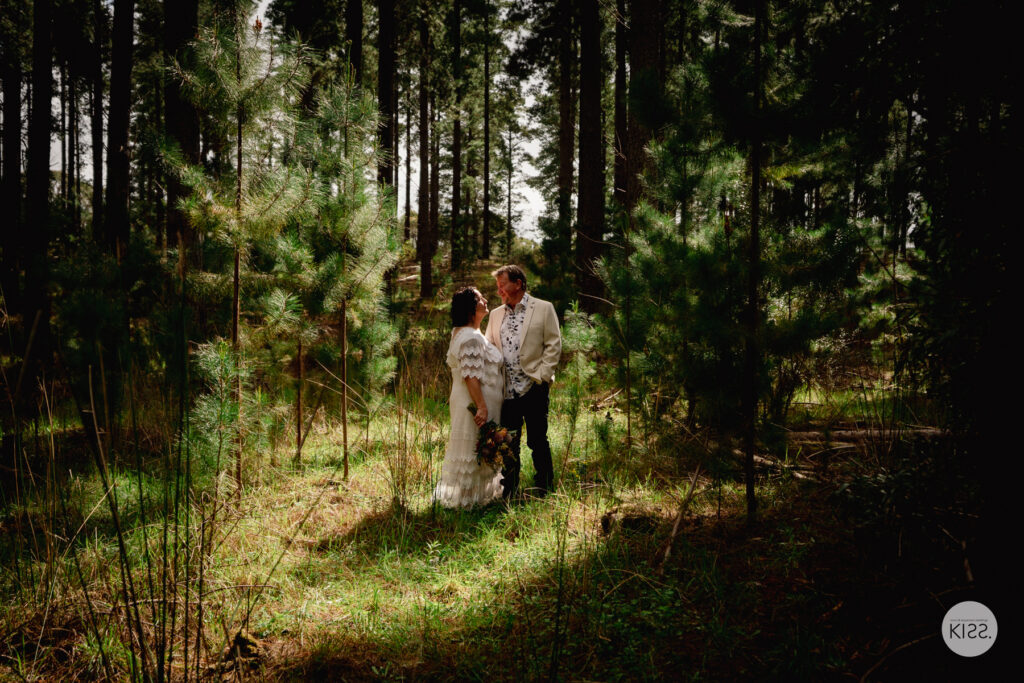 A wedding couple standing in a patch of sunlight among pine trees