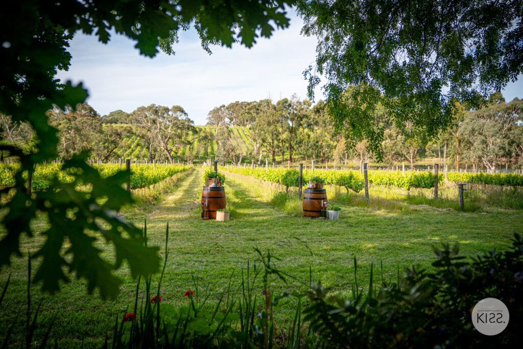 Vineyard ceremony setting with barrels and flowers