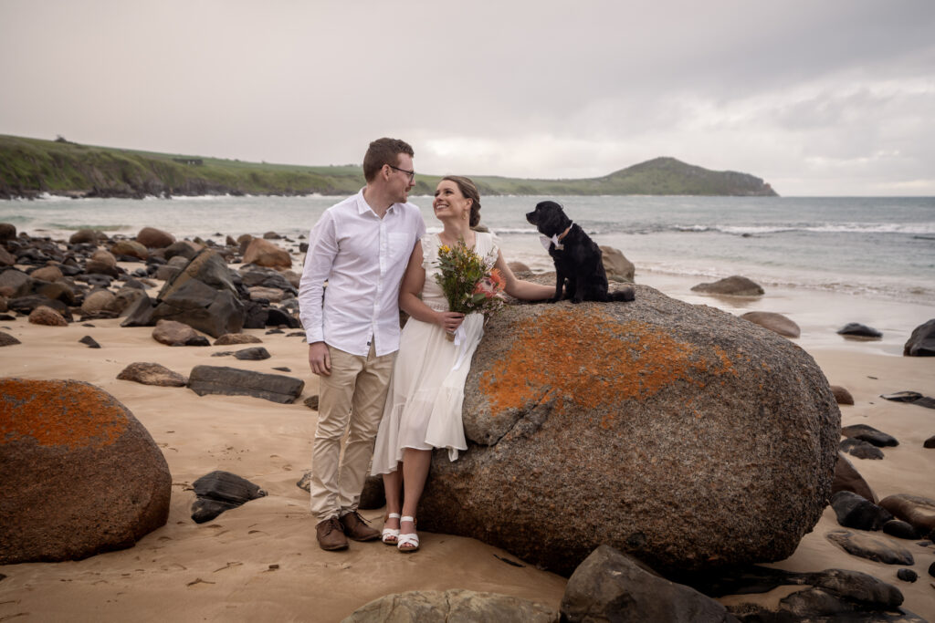 A wedding couple and their dog beside coastal rocks