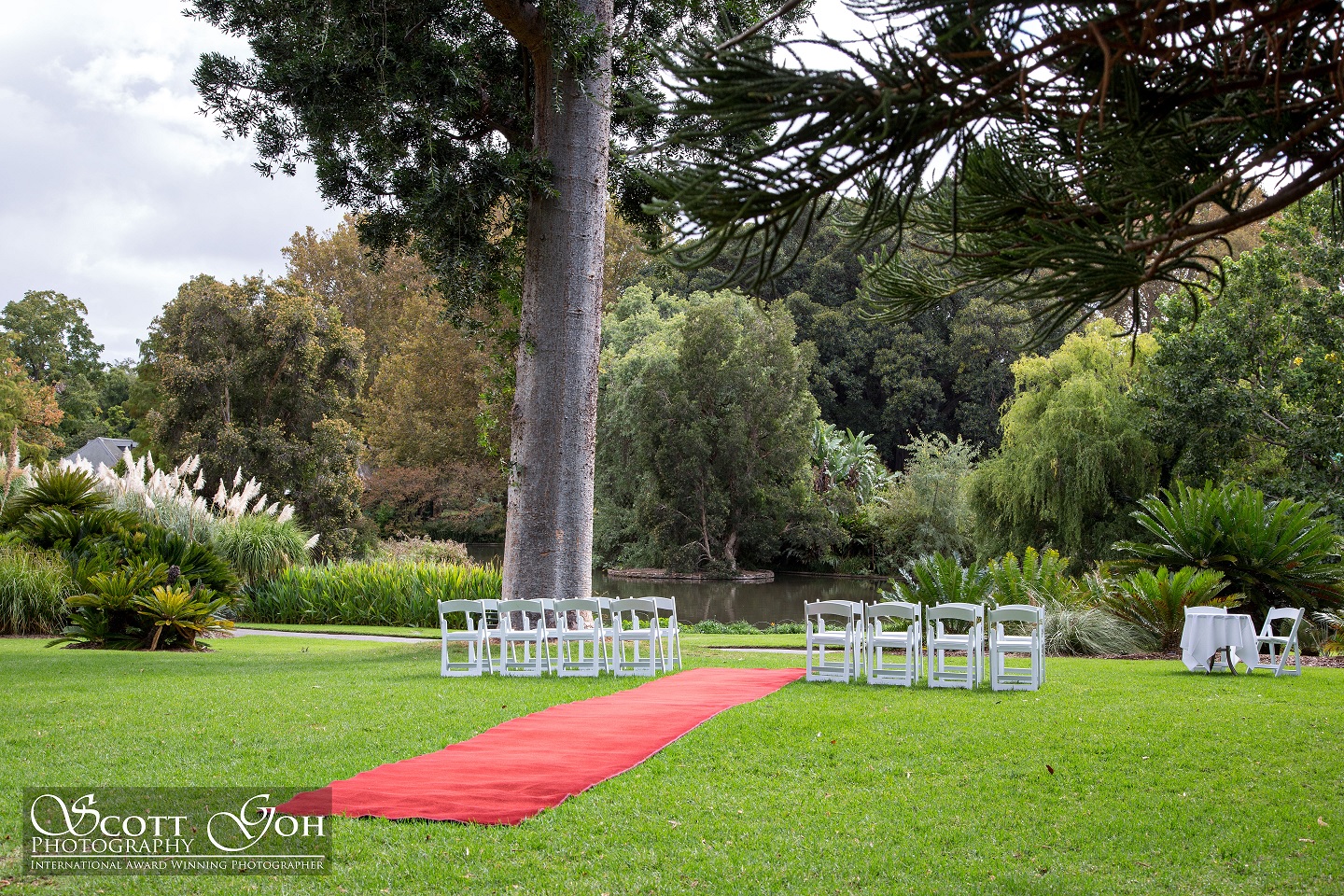 Adelaide Botanic Gardens Ceremony Site : Cycad Collection