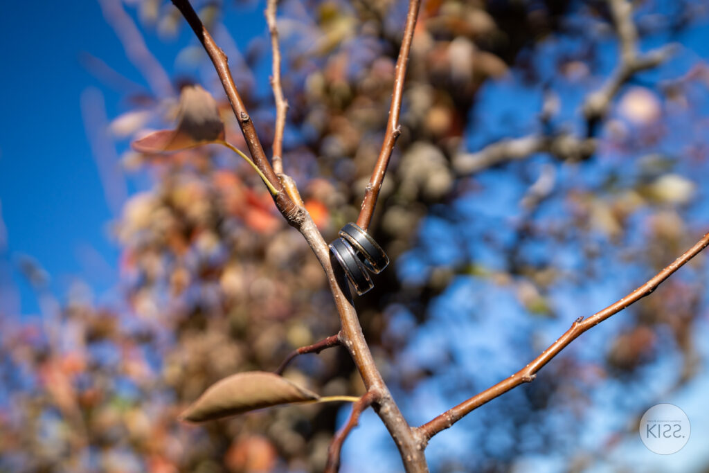 Wedding rings hanging from a thin tree branch