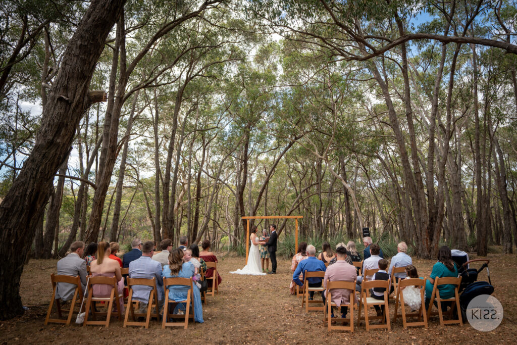 Guests seated for a wedding ceremony among tall trees