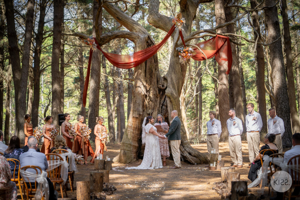 Guests watching a wedding ceremony beneath forest trees