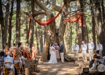 Burbrook Forest, wedding packages