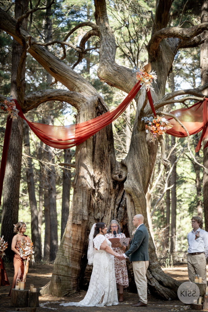 A wedding ceremony beneath a large decorated forest tree