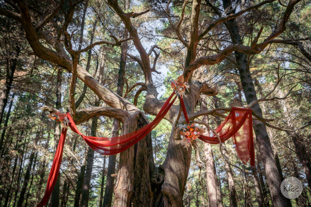 Red wedding drapery hanging from forest branches