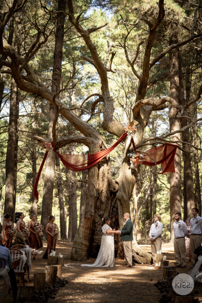 A wedding couple beneath trees decorated with red drapery