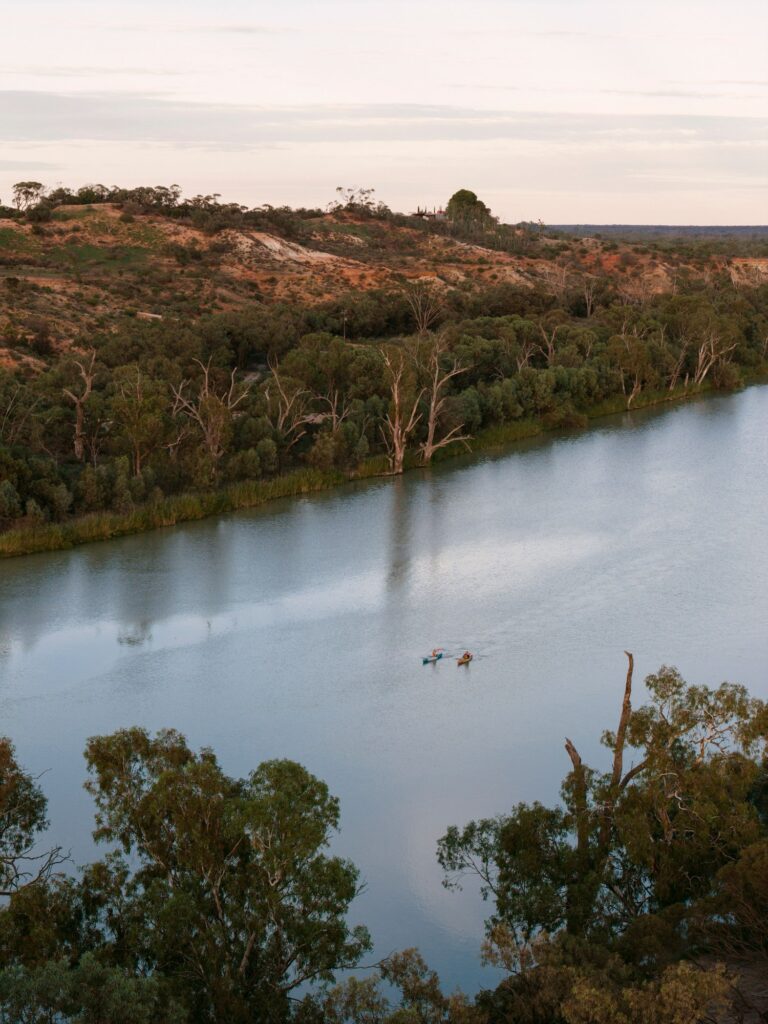 Two kayakers on the Murray River in the Riverland.
