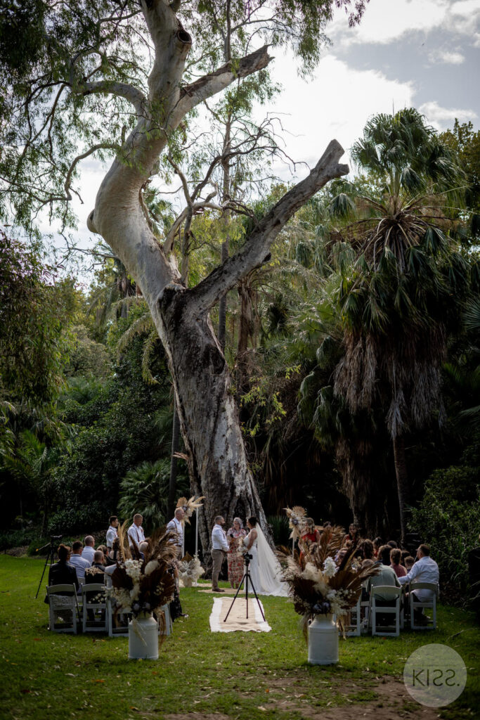 A wedding ceremony beneath a tree at Adelaide Botanic Garden